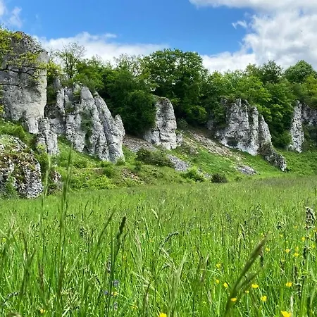 Mitten Im Altmuehltal - 110 Qm Solnhofen Exterior foto